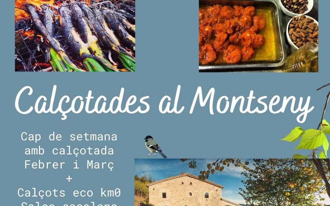 Calçotada en el Montseny cerca de Barcelona