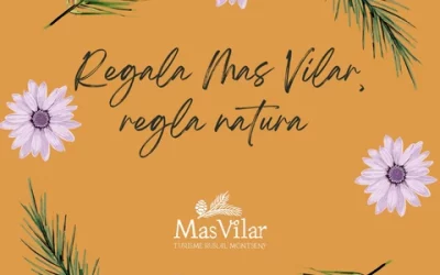 Ideas para regalar turismo rural