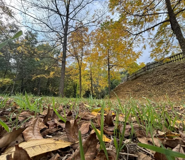 Tardor a @masvilar.rural . Gaudeix de la magia del Montseny🍂