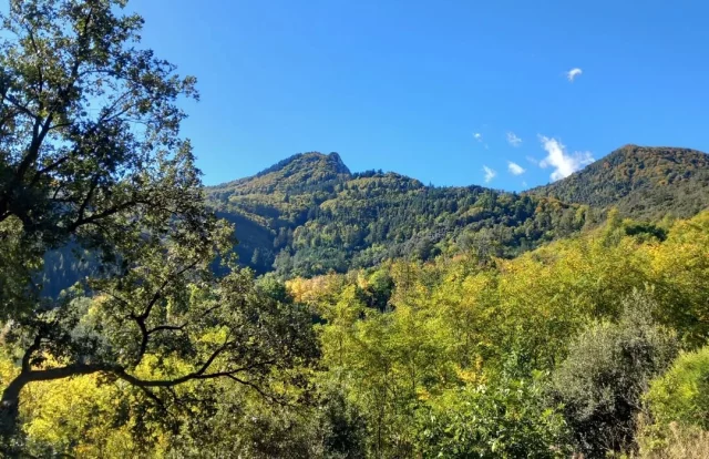 Passejada tardorenca pel Montseny? 🍂🍄‍🟫🌰