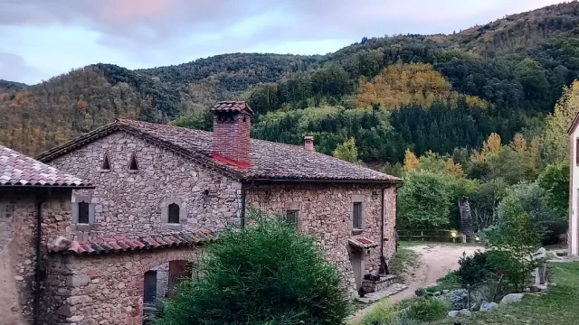 La tardor ens regala cada dia una pinzellada diferent🍂🌰🍄‍🟫