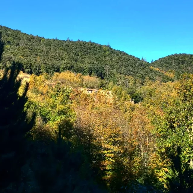 Amagada en plena tardor, trobareu Mas Vilar, un fantàstic lloc per gaudir de la natura.