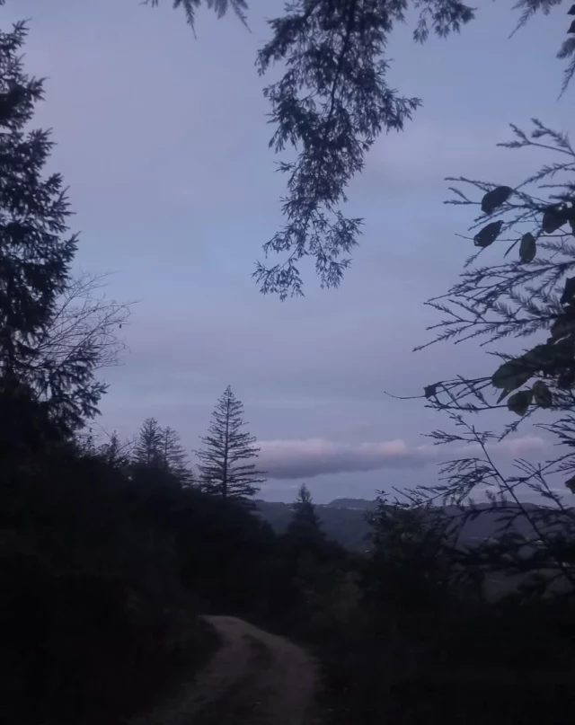 Passejada de tarda abans de que s'amagui del tot la llum. És genial sentir com els ocell🐦🐧🐦‍⬛ s'acomiaden del dia i s'activen els mussols🦉 I els animalets nocturns. Un espectacle que passa cada dia.